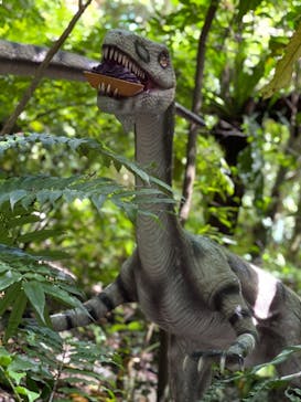 御菓子御殿　名護店　やんばる亜熱帯の森DINO恐竜PARKに投稿された画像（2021/7/18）