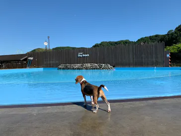 わんダフルネイチャーヴィレッジに投稿された画像（2021/7/18）