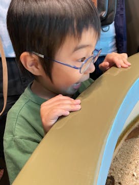 サンシャイン水族館に投稿された画像（2021/7/18）