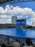 名古屋港水族館に投稿された画像（2021/7/18）