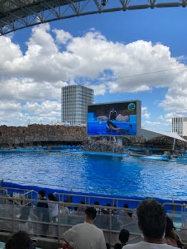 名古屋港水族館に投稿された画像（2021/7/18）