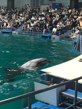 マクセル アクアパーク品川に投稿された画像（2021/7/18）