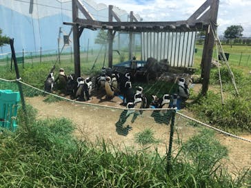 名古屋港水族館に投稿された画像（2021/7/18）