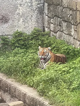 天王寺動物園に投稿された画像（2021/7/18）