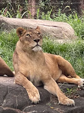 天王寺動物園に投稿された画像（2021/7/18）