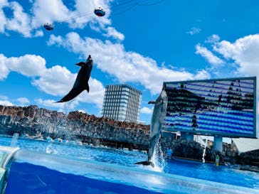 名古屋港水族館に投稿された画像（2021/7/18）