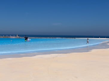 芝政ワールドに投稿された画像（2021/7/18）