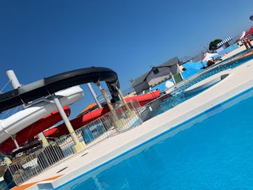 芝政ワールドに投稿された画像（2021/7/18）