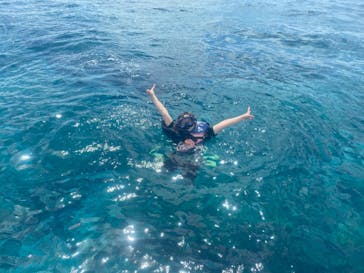 Sea World（シーワールド）に投稿された画像（2021/7/18）