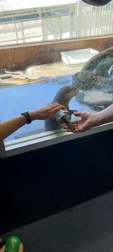 箱根園水族館に投稿された画像（2021/7/18）
