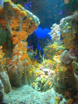 サンシャイン水族館に投稿された画像（2021/7/18）