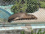 天王寺動物園に投稿された画像（2021/7/18）