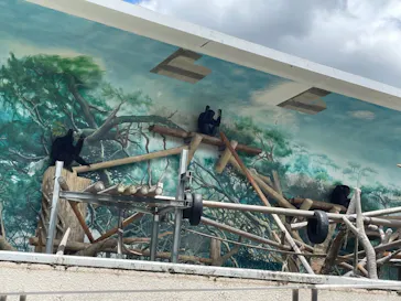 天王寺動物園に投稿された画像（2021/7/18）