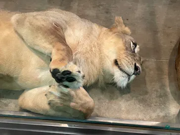 天王寺動物園に投稿された画像（2021/7/18）