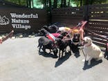 わんダフルネイチャーヴィレッジに投稿された画像（2021/7/18）