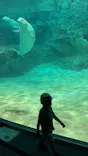 名古屋港水族館に投稿された画像（2021/7/18）