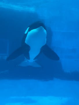 名古屋港水族館に投稿された画像（2021/7/18）
