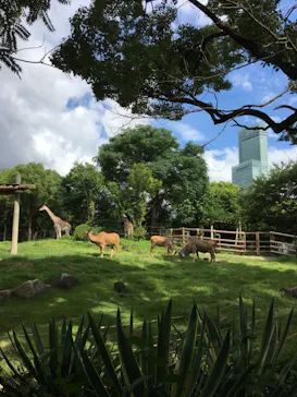 天王寺動物園に投稿された画像（2021/7/18）