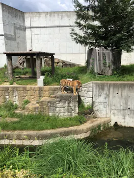 天王寺動物園に投稿された画像（2021/7/18）