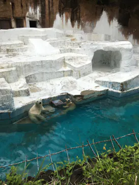 天王寺動物園に投稿された画像（2021/7/18）