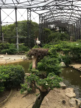 天王寺動物園に投稿された画像（2021/7/18）