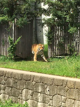 天王寺動物園に投稿された画像（2021/7/18）