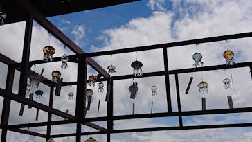 京都水族館に投稿された画像（2021/7/18）