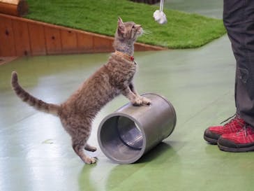 那須どうぶつ王国に投稿された画像（2021/7/18）