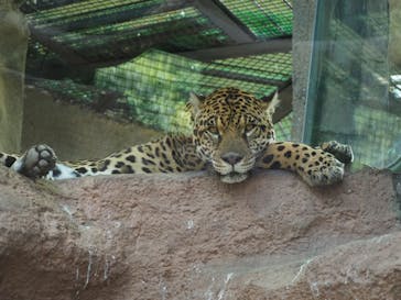 那須どうぶつ王国に投稿された画像（2021/7/18）