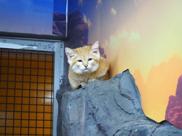 那須どうぶつ王国に投稿された画像（2021/7/18）