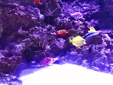 マクセル アクアパーク品川に投稿された画像（2021/7/18）