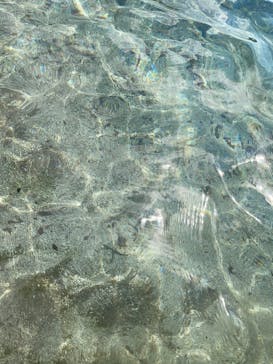 Bluebird Canoe（ブルーバードカヌー）に投稿された画像（2021/7/18）