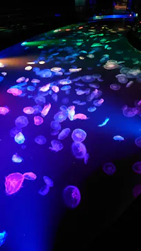 すみだ水族館に投稿された画像（2021/7/18）