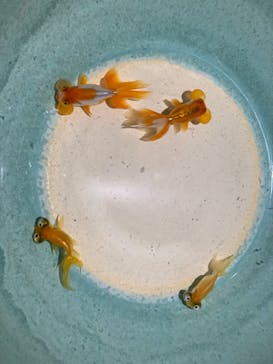 マリンワールド海の中道に投稿された画像（2021/7/18）