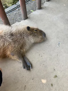 横浜・八景島シーパラダイスに投稿された画像（2021/7/18）