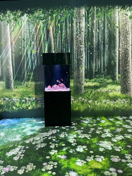 マクセル アクアパーク品川に投稿された画像（2021/7/18）