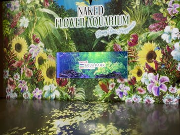 マクセル アクアパーク品川に投稿された画像（2021/7/18）