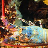 九十九島水族館海きららに投稿された画像（2021/7/19）