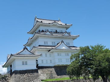 小田原城に投稿された画像（2021/7/18）