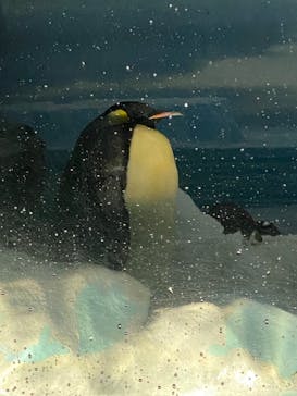 名古屋港水族館に投稿された画像（2021/7/19）