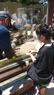 横浜・八景島シーパラダイスに投稿された画像（2021/7/19）