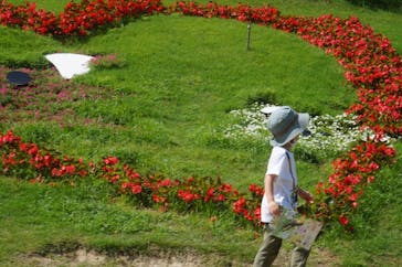 淡路ファームパーク イングランドの丘に投稿された画像（2021/7/19）