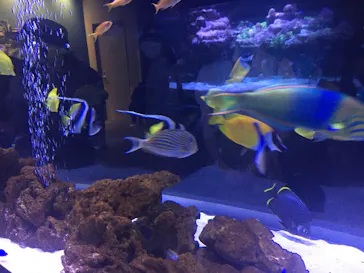 すみだ水族館に投稿された画像（2021/7/19）