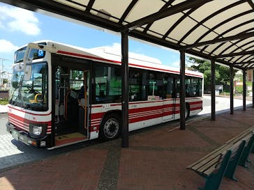 よみうりランド 遊園地に投稿された画像（2021/7/19）