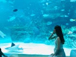 名古屋港水族館に投稿された画像（2021/7/19）