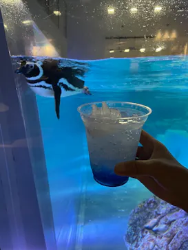 すみだ水族館に投稿された画像（2021/7/19）