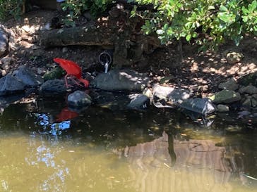 神戸どうぶつ王国に投稿された画像（2021/7/19）