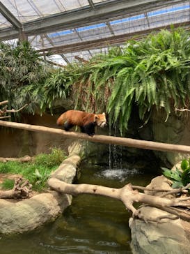 神戸どうぶつ王国に投稿された画像（2021/7/19）