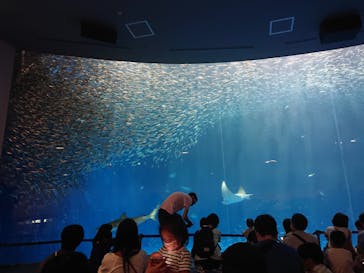 名古屋港水族館に投稿された画像（2021/7/19）