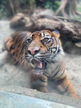 神戸どうぶつ王国に投稿された画像（2021/7/19）